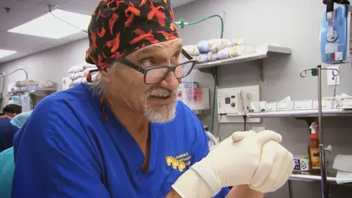 Dr. Jeff, véto d'enfer S07E02 Histoire d'alligator