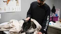 Dr Jeff : super véto