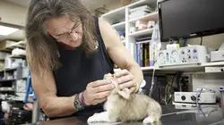 Dr Jeff : super véto