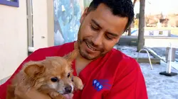 Dr Jeff : super véto Neuf vies