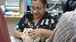 Dr Jeff : super véto Affaire risquée