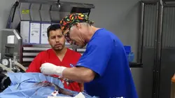 Dr Jeff : super véto À l'abri de l'orage