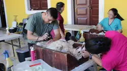 Dr Jeff : super véto Never Give Up