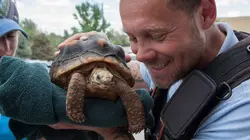 Dr Jeff : super véto La terre des lions