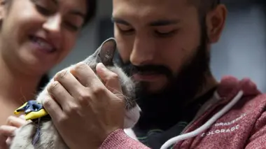 Rentrer à la maison