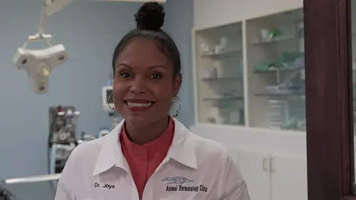 Dr. Joya, véto et dermato