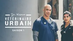 Dr. Kwane, vétérinaire urbain Antonio & Piglet