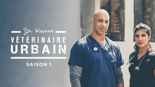 Dr. Kwane, vétérinaire urbain The Mercer Clinic