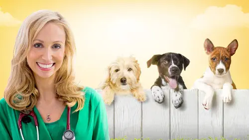 Dr Lisa à la rescousse S02E07 Première adoption