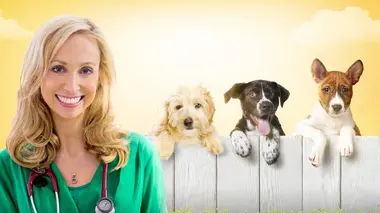 Dr Lisa à la rescousse S02E01 Une histoire de cochons d'Inde