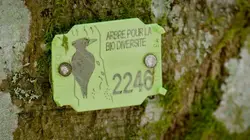 Dr Pic Noir : urgences des bois