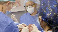 Visuel de Dr Pimple Popper