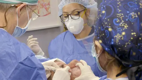 Dr Pimple Popper A vue de nez