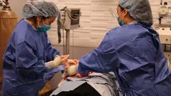 Dr Pimple Popper La protubérance de tous les records