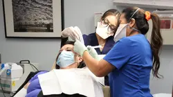 Dr Pimple Popper Mon deuxième cerveau