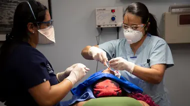Dr Pimple Popper Tordre le cou