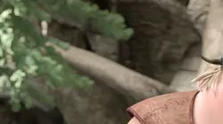 Visuel de Dragons : défenseurs de Beurk