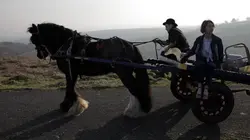 Dream Alliance : la victoire inattendue