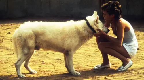 Photos de Dressé pour tuer