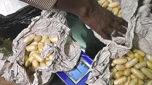 Drogue : la nouvelle guerre des cartels