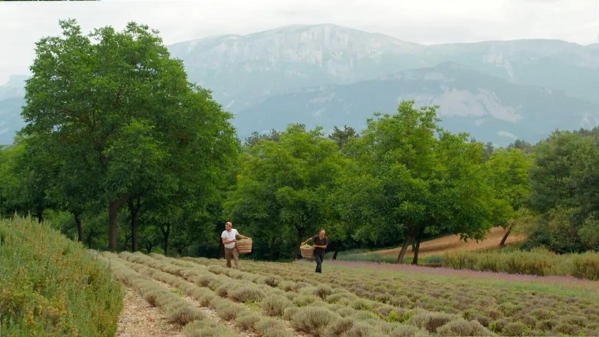 Drôme, le monde d'après est déjà là