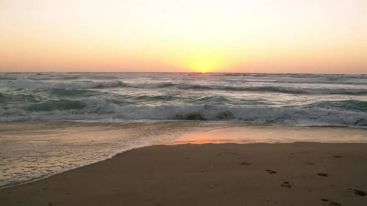 Droomhuis in de Zon S08E04 South Devon and Dordogne