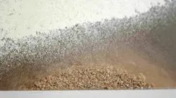 Du pain coûte que croûte