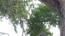 Visuel de Dual Survival