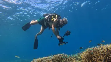 Dugong blues, les dernières sirènes de Mayotte