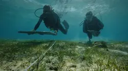 Dugong blues, les dernières sirènes de Mayotte