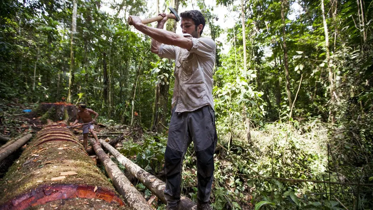 DugOut : An Amazon Adventure