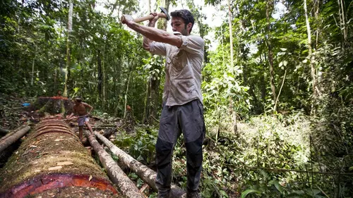 DugOut : An Amazon Adventure