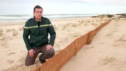 Dunes : les paysages mouvants d'Europe