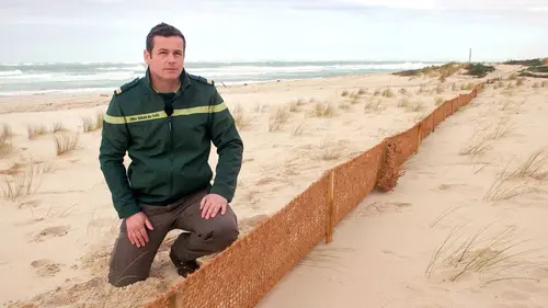 Dunes : les paysages mouvants d'Europe