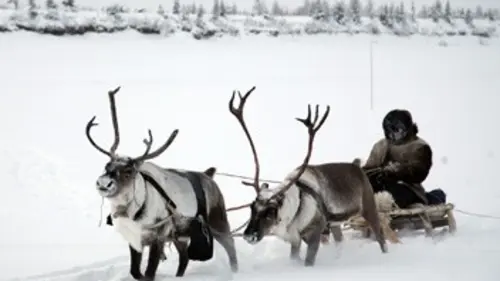 Dur à cuire ou poule mouillée ? E02 Sibérie
