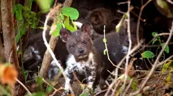 Dynasties Une héritière rebelle