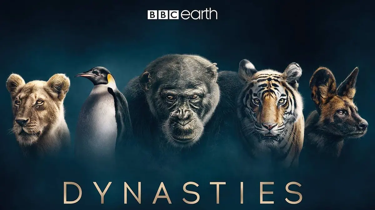 Dynasties animales S02E01 Les suricates, épisode spécial