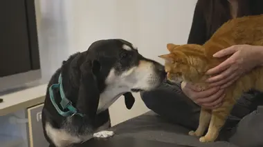 5 expressions populaires plus scientifiques qu'on ne le pense !