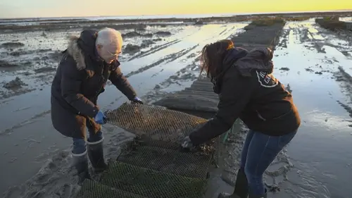 E=M6 Spéciale repas de Noël