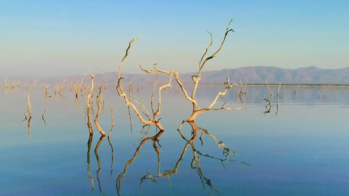 Earth's Great Rivers