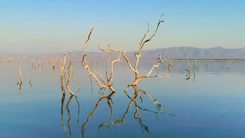 Earth's Great Rivers