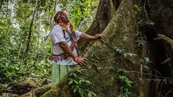 Earthshot : protéger et restaurer la terre