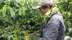 Colombie, à la recherche du nouvel eldorado Colombie, à la recherche du nouvel eldorado