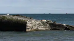 Echappées belles Danemark, le parfait équilibre