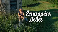 Echappées belles Bourgogne, terre de vignes