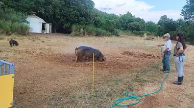 Alpes du Sud - Méditerranée, de ferme en ferme