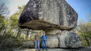 Tarn, fascinante découverte