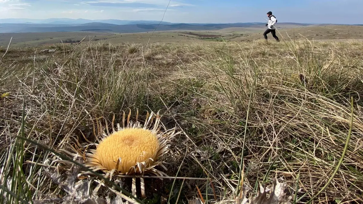 Echappées belles Les Cévennes, un retour aux sources