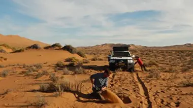 Namibie : la route de l'eau qui fume...
