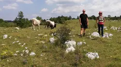 Visuel de Echappées belles